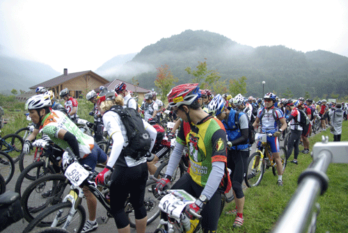 d0133127_174484.gif
