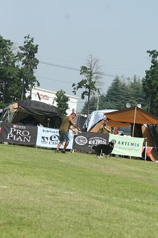b0085331_8172656.jpg