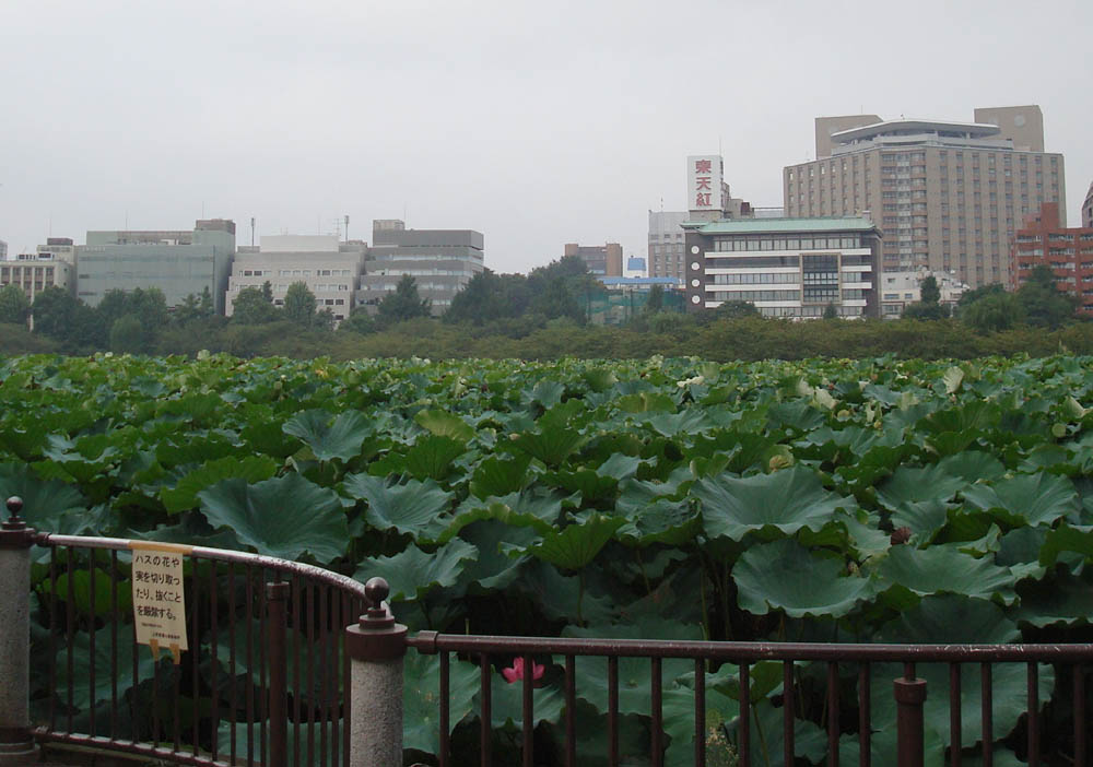 ０８年９月１５日　上野＆浅草散策♪_c0117831_82358.jpg