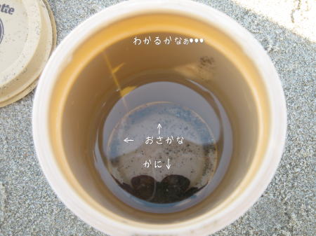 秋の海に行ってきました~_f0023333_9475275.jpg