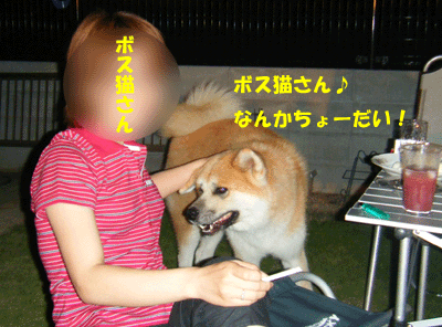 f0008935_1582442.gif