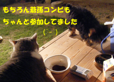 f0008935_1583668.gif