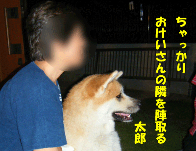 f0008935_158917.gif
