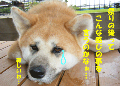 f0008935_1738017.gif