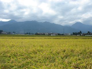 a0014840_2243578.jpg