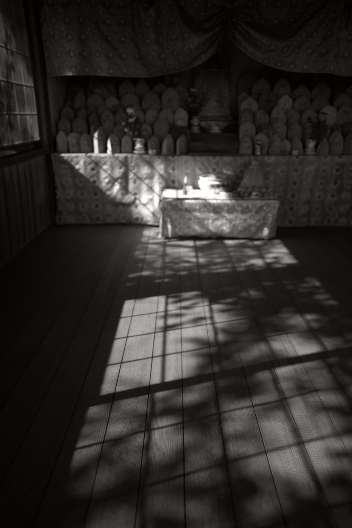 d0001745_12293831.jpg