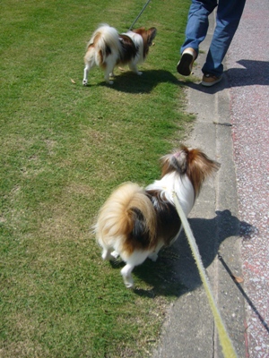 e0100046_21343351.jpg