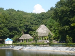 e0100046_21495314.jpg