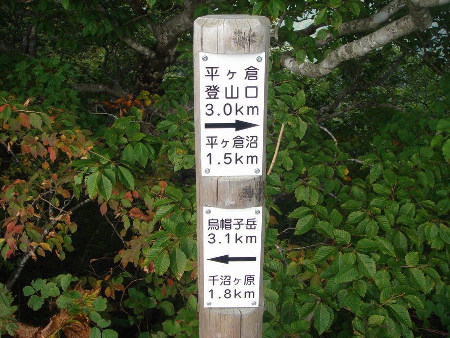 黒湯登山口→烏帽子岳乳頭山→平ヶ倉沼→滝ノ上 - 秋田県仙北市 岩手県雫石町_f0137955_2501366.jpg