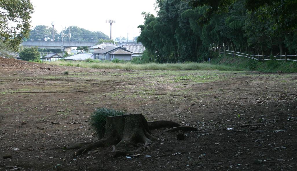 「警官の血」ロケ地 仙元山公園が熱い 深谷のまちづくり その24_a0107574_1811553.jpg