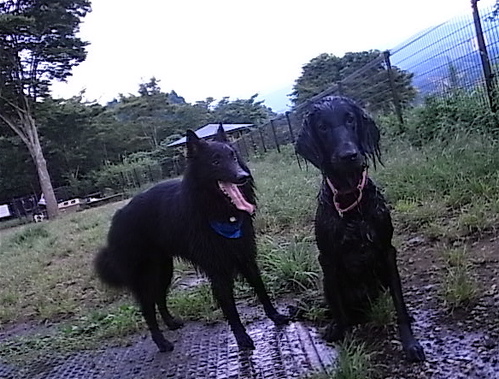 a0061977_12435612.jpg