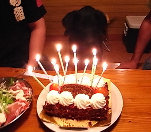 a0061977_13285731.jpg