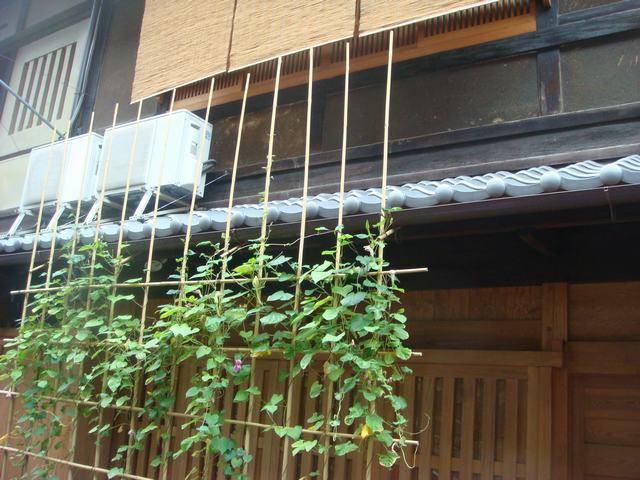 d0100880_622167.jpg