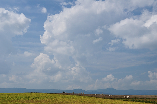 d0105582_2034148.jpg