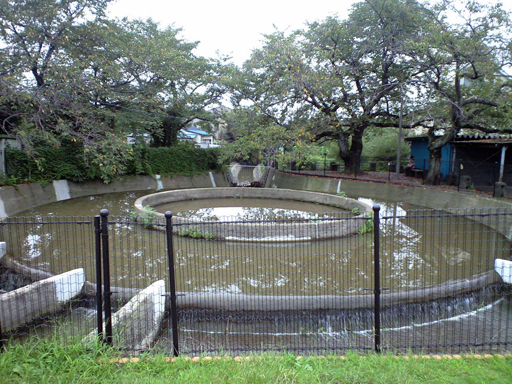 e0034994_9351920.jpg