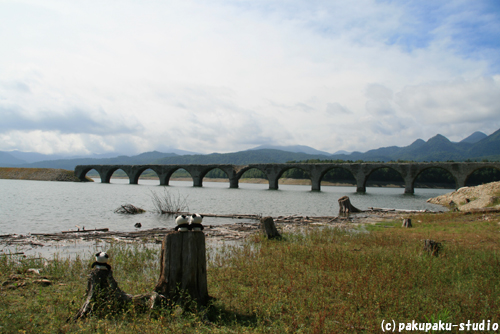 北海道の美しい風景：タウシュベツ川橋梁_e0015195_15522595.jpg