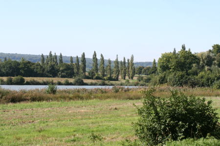 c0090198_145916.jpg