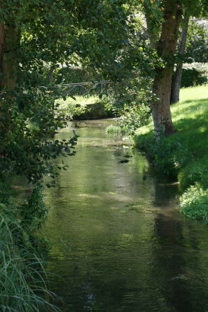 c0090198_194560.jpg