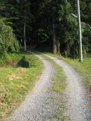 b0147224_2051458.jpg