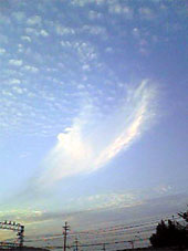 秋の雲、うろこ雲_e0103327_17222721.jpg