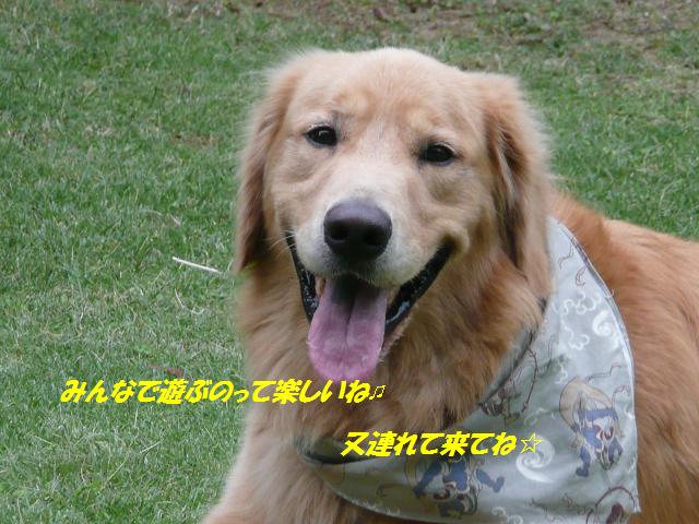 f0114128_1711196.jpg