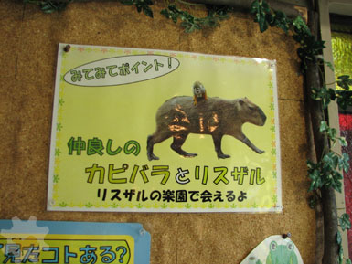 楽園の同居人_f0138828_191858.jpg