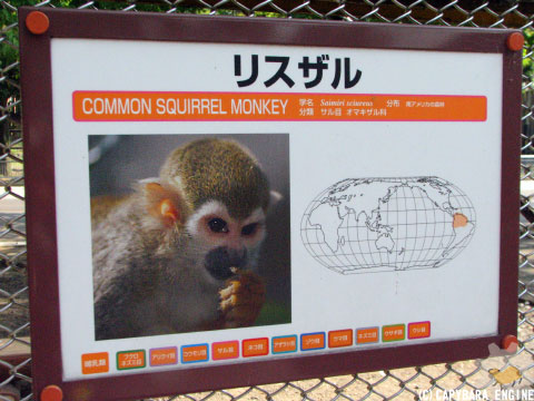 楽園の同居人_f0138828_194544.jpg