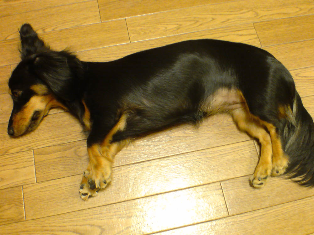 c0117831_22574842.jpg