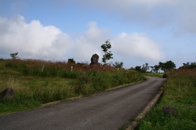 d0055236_1015757.jpg
