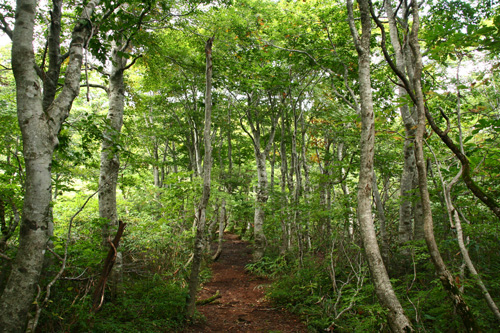 d0055236_10492623.jpg