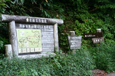 d0055236_1083844.jpg