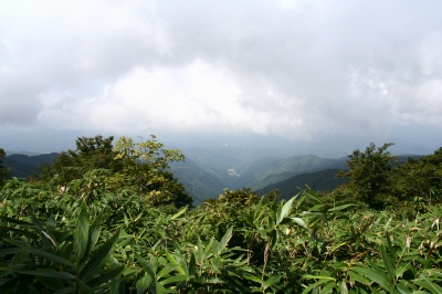 d0055236_20511955.jpg
