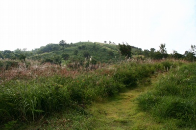 d0055236_959713.jpg