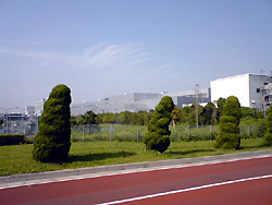 f0009439_1652710.jpg