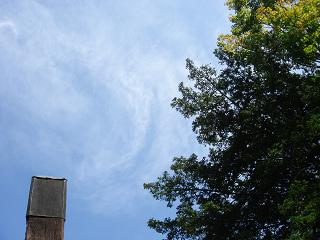 a0014840_223536.jpg