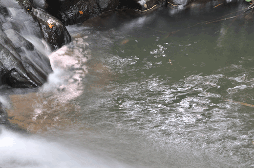 c0093046_7261162.gif