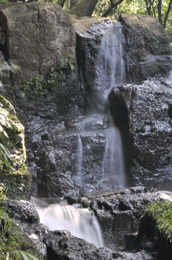 c0093046_7264237.gif