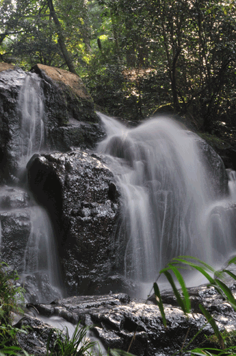 c0093046_7271699.gif
