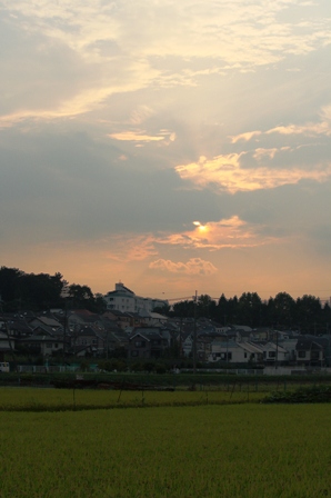 夕方のＳＷ_e0117950_201174.jpg