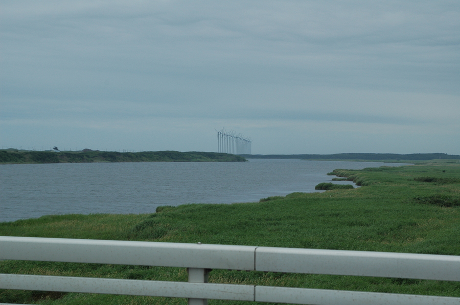 f0114954_1704288.jpg