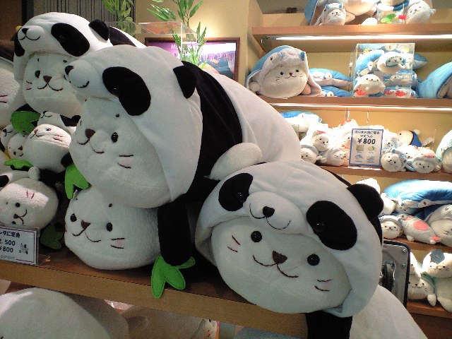 暑いぃ~(>_<)_c0151965_11394668.jpg