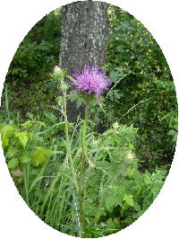 f0042665_2154274.jpg