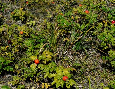 f0083977_15171621.jpg