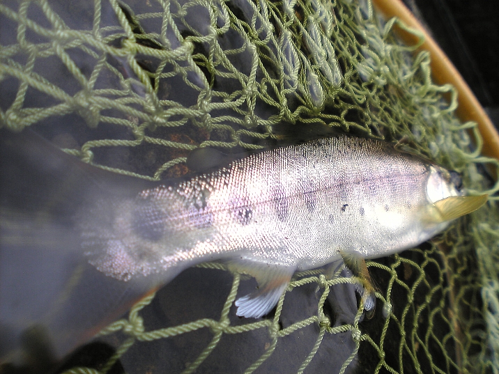 d0129886_12465984.jpg