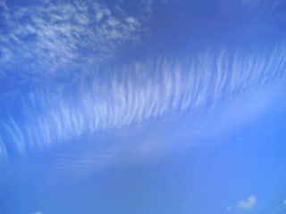a0105688_10584922.jpg