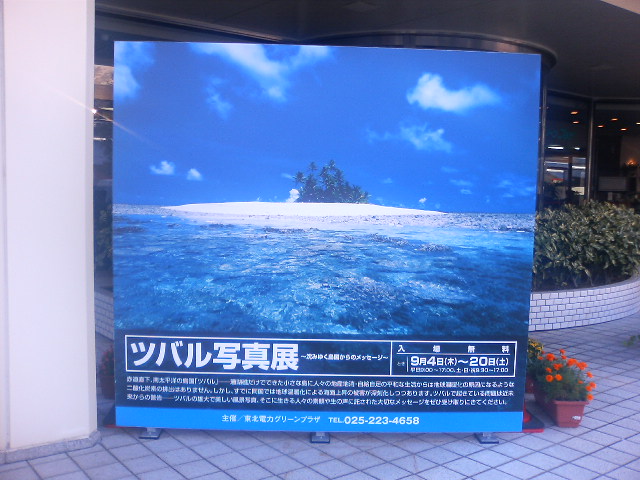ベテランの味。しびれますね〜。_e0046190_17462673.jpg