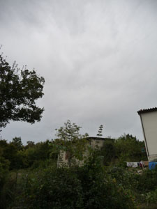 9月の畑_f0106597_1658224.jpg