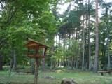 e0143298_16332493.jpg