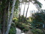 e0143298_1701378.jpg