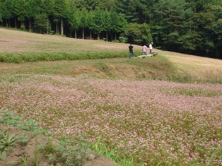 e0143298_1714515.jpg